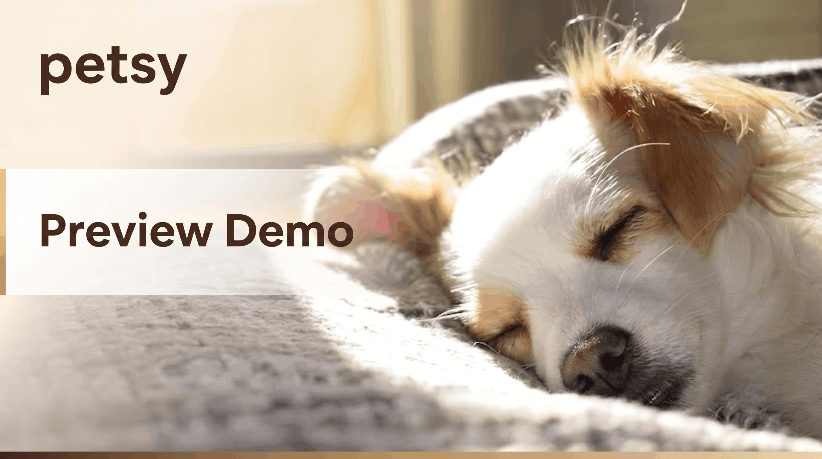 Petsy product walkthrough